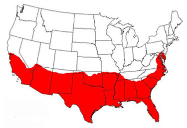 fire ant infestation map of US showing poor fire ant control